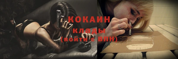 крисы Кодинск