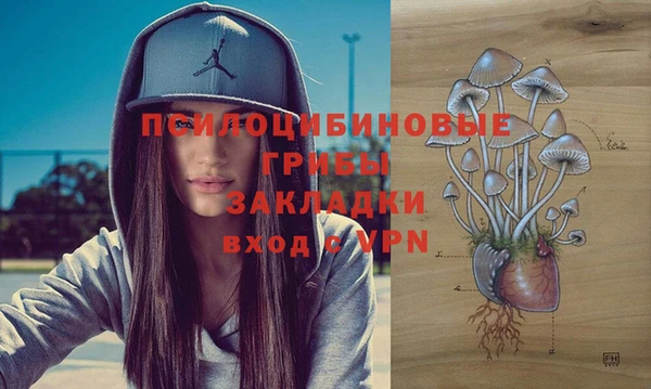 трава Верхнеуральск