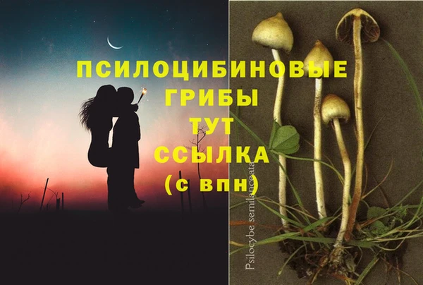 jwh Верея