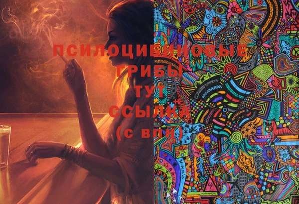крисы Кодинск